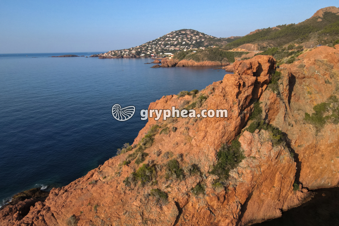 Esterel - affleurement de rhyolite - gryphea.com